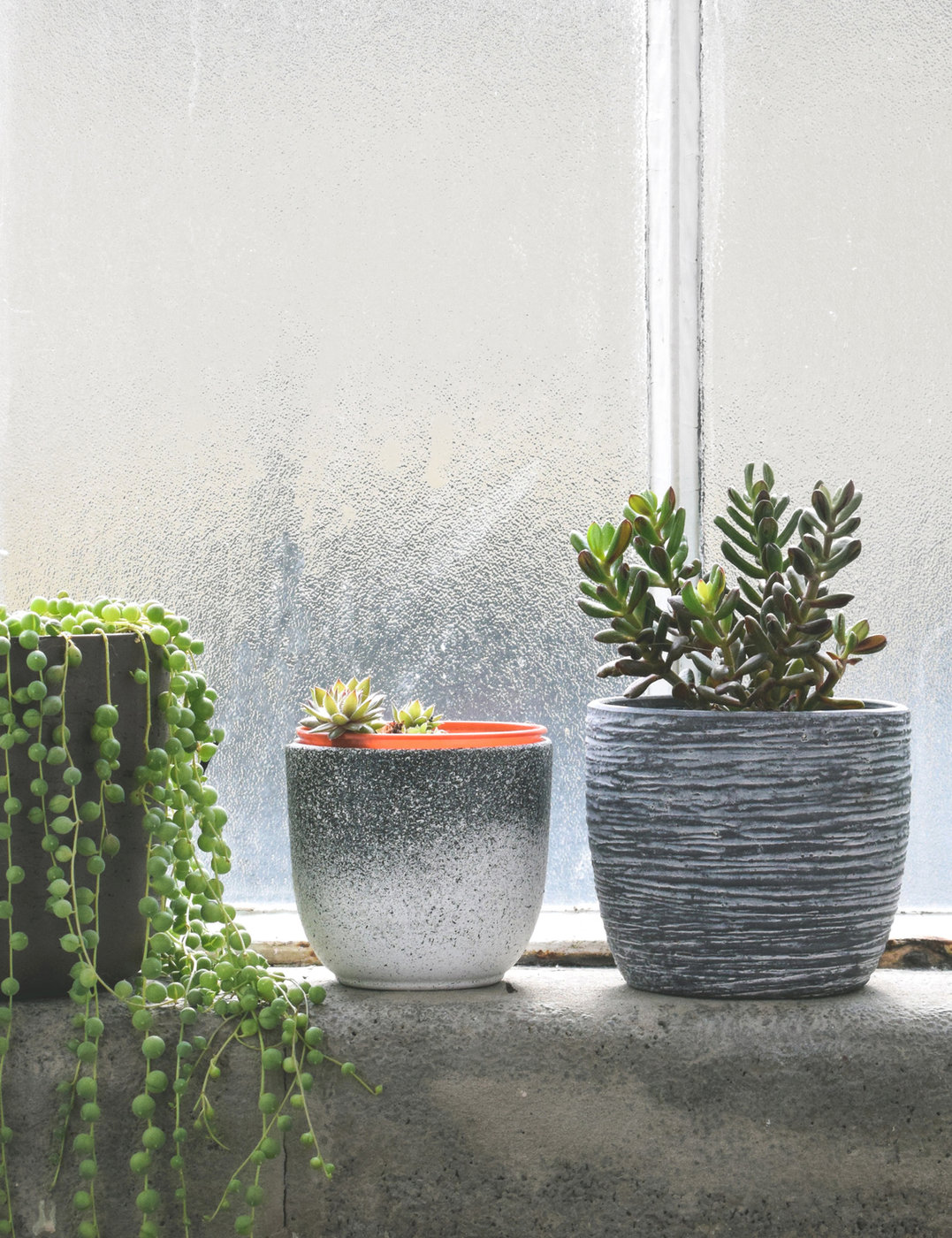 A collection of decorative plant pots